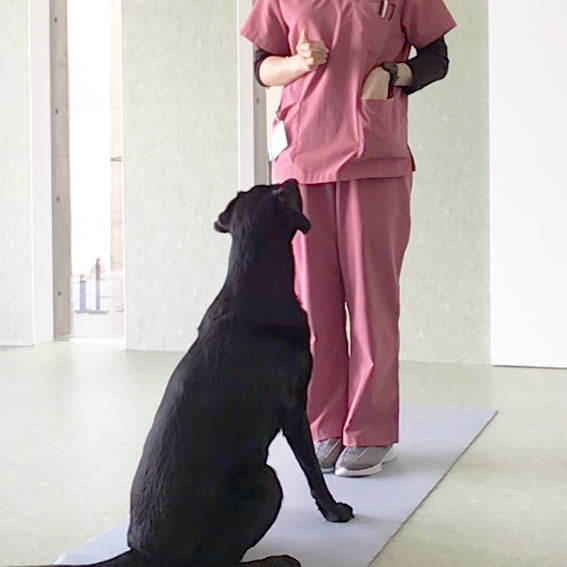 リハビリテーション